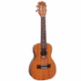 Lhuc asm cel 02