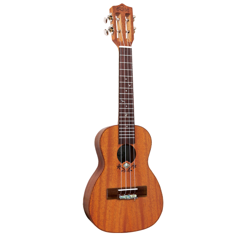 Lhuc asm cel 02