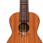 Lhuc asm cel 04