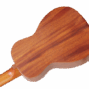 Lhuc asm cel 05