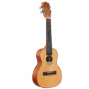 Lhuc csm cel 02