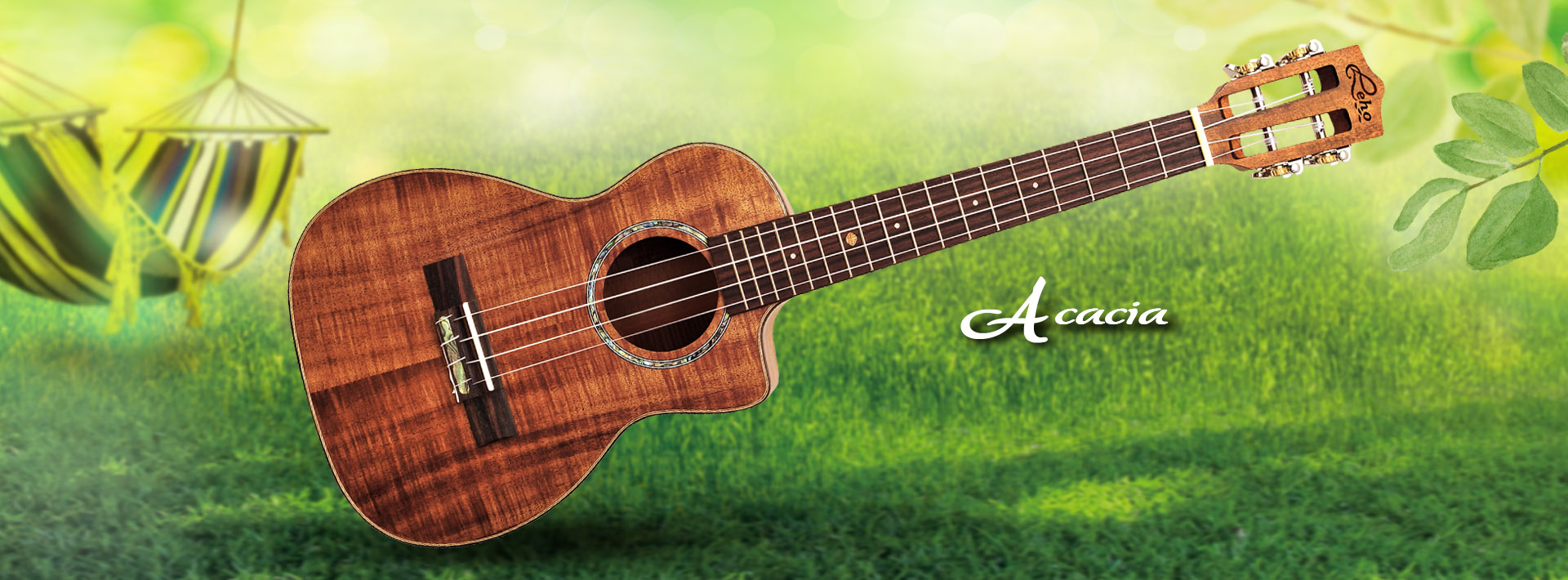 2021-08-02-04 Acacia 2021 08 02 04 Acacia