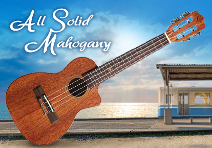 2025 05 12 all solid mahogany phone banner