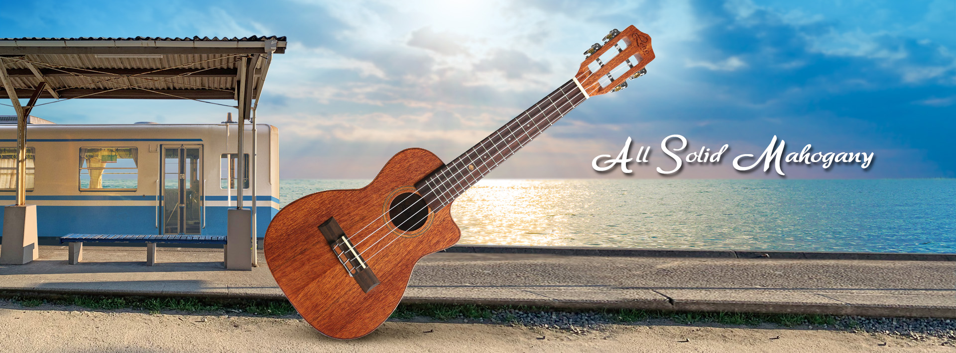 2025 05 12 all solid mahogany