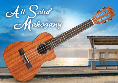 2025 06 13 all solid mahogany phone banner