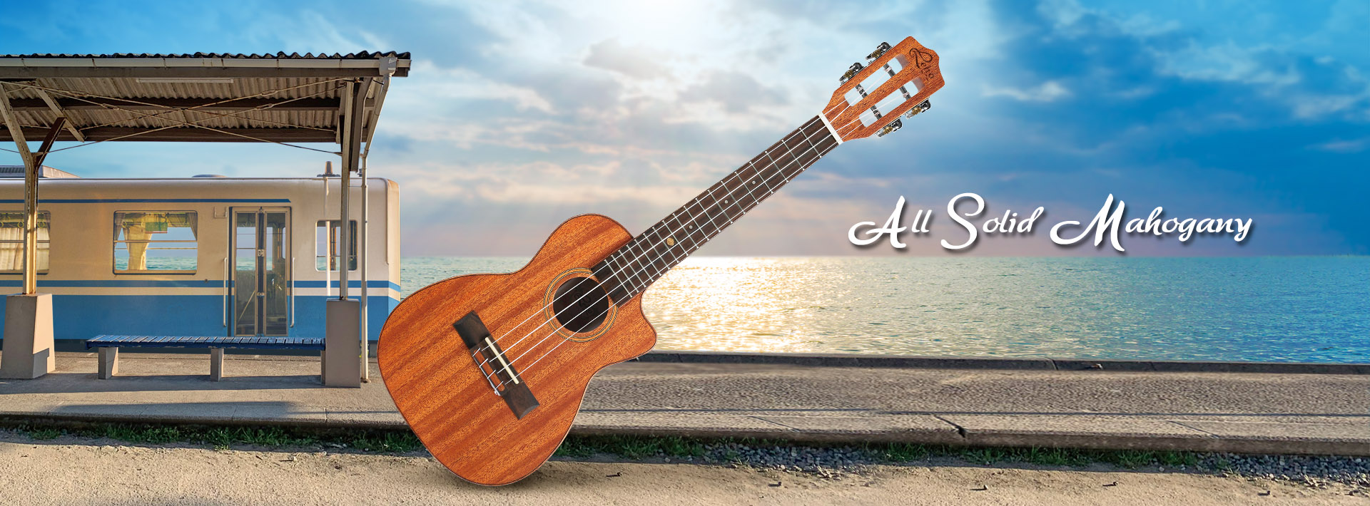2025 06 13 all solid mahogany