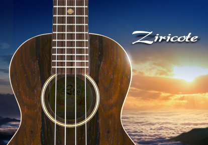 2021-09-07 Ziricote-phone Banner