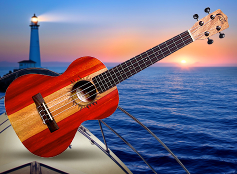 500 dpi 2 tone mahogany mlut 2m
