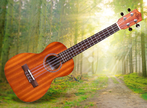 The already famous MM series cleverly combines the practical economy of rigid laminate construction without sacrificing musical response, given this full-body arch back design.
