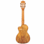 Lhuc cmf ce 04