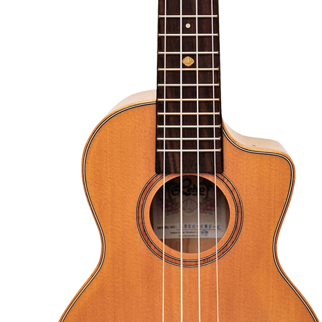 Lhuc cmf ce 05