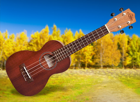500 dpi mahogany lhus mm