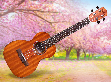 500 dpi mahogany lhut mm