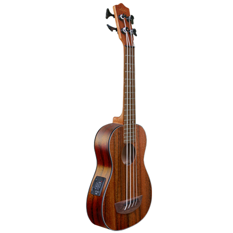 Alu Bass (2)