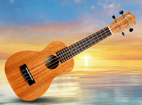 500 Dpi Extreme Mahogany Mluc Xm Ts