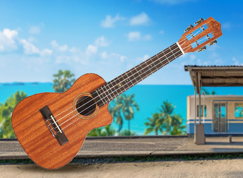 500 dpi all solid mahogany lhuc asm c 01‏‏