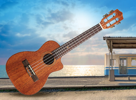 500 dpi all solid mahogany lhuc asm c 01‏‏