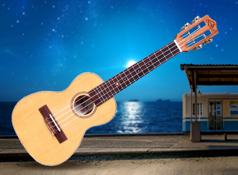 500 dpi all solid mahogany lhuc csm 01‏‏