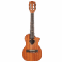 Lhuc asm c 01