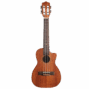 Lhuc asm c 01