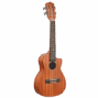 Lhuc asm c 02
