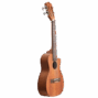 Lhuc asm c 02