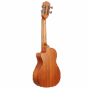Lhuc asm c 03