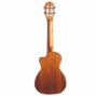 Lhuc asm c 04