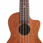 Lhuc asm c 04