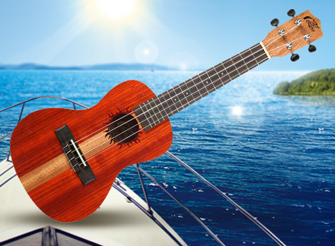 500 dpi 2 tone mahogany mluc 2m
