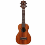 Lhus db 01