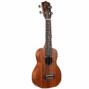 Lhus db 02