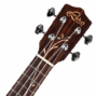 Lhus db 04