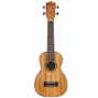 Lhus mg 01