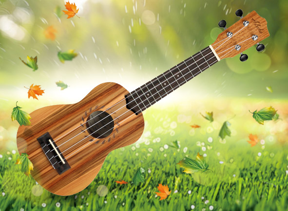 500 dpi aleho alus ls