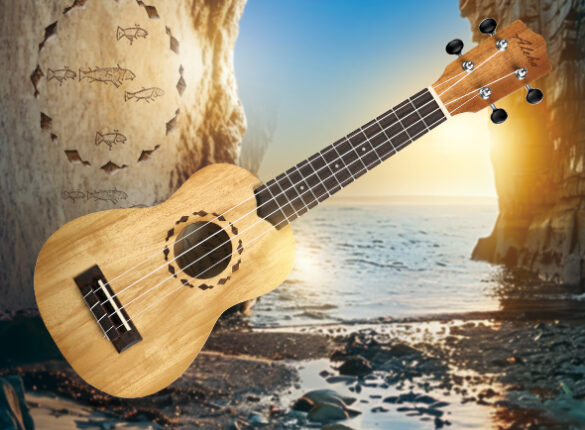 500 dpi aleho alus or